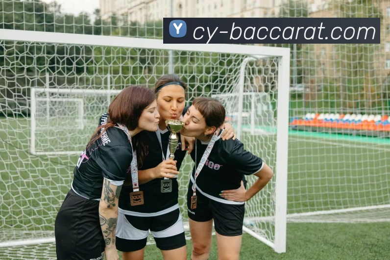 百家乐官网平台生态图